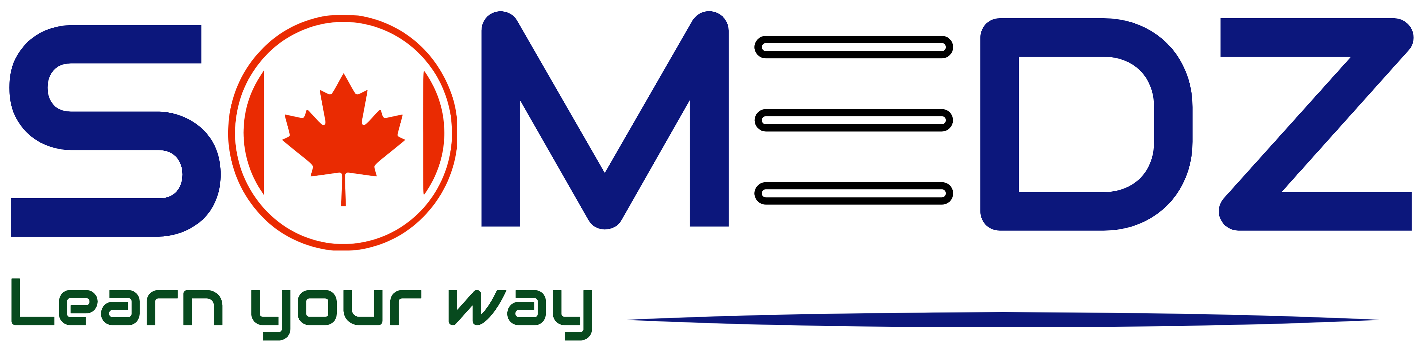 SOMEDZ Logo
